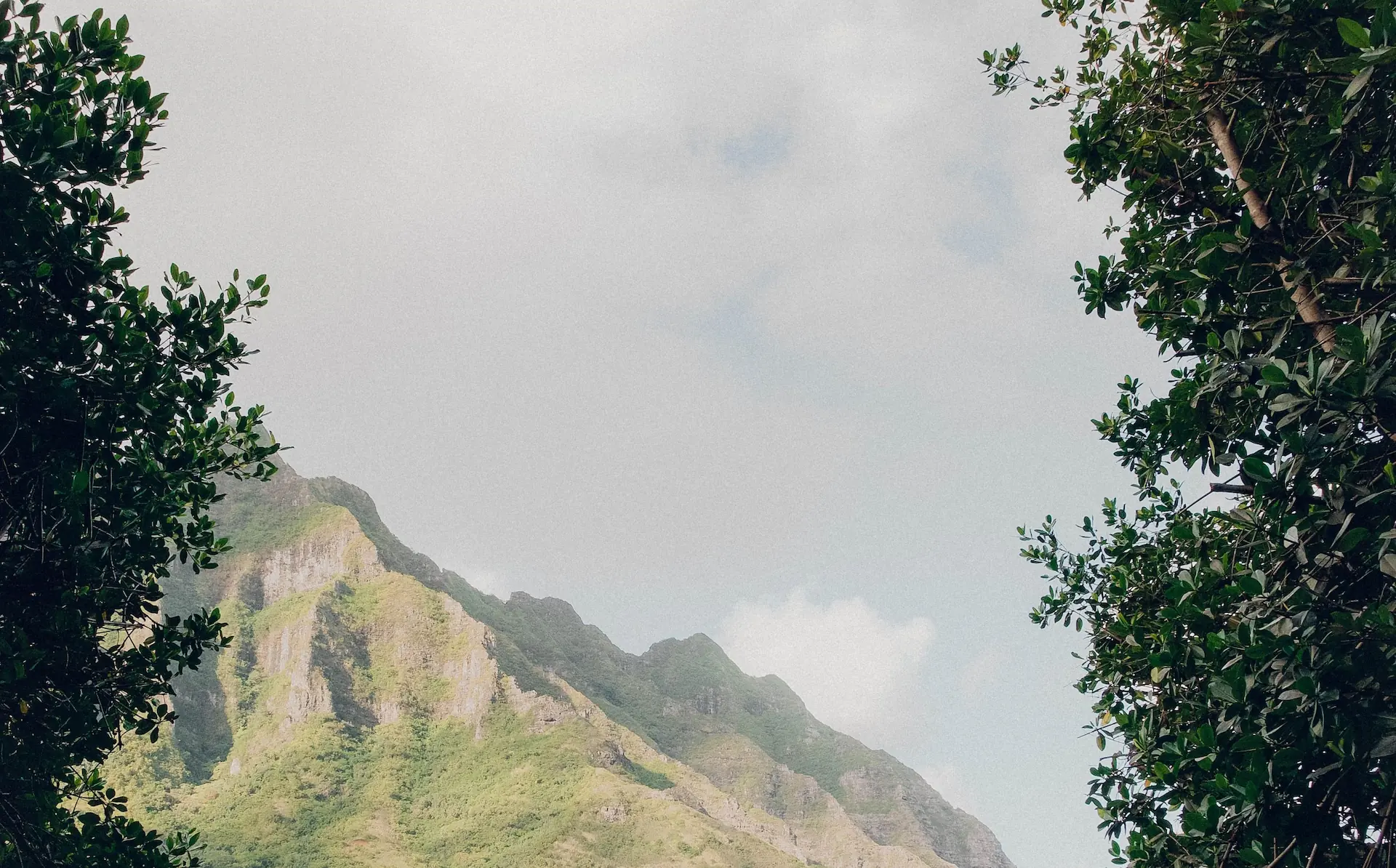 Assisted-Psychotherapy Treatments for Depression